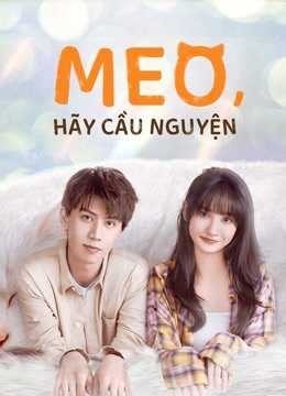 Xem phim Meo, Hãy Cầu Nguyện